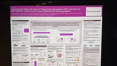 I presented our work on HbF induction by BMS-986470 at EHA 2026 in Stockholm, Sweden. featured image